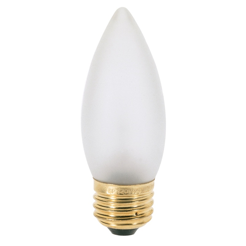 Light Bulb in Frost