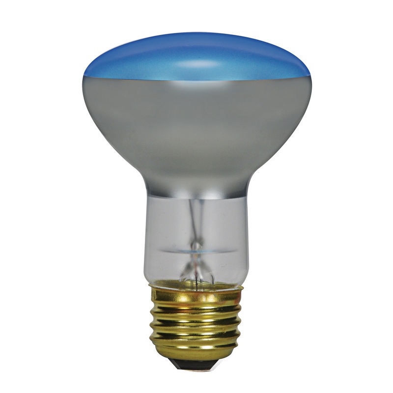 Light Bulb in Blue