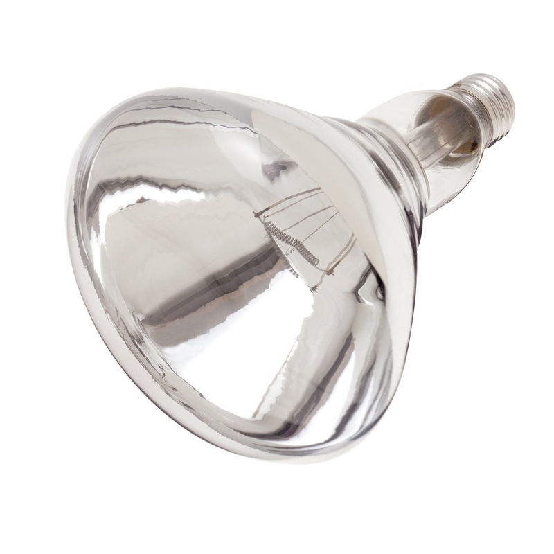 Light Bulb in Clear Heat