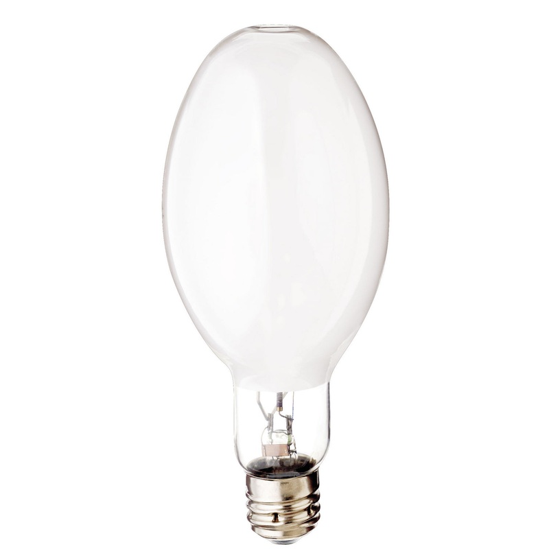 Light Bulb in Coated White