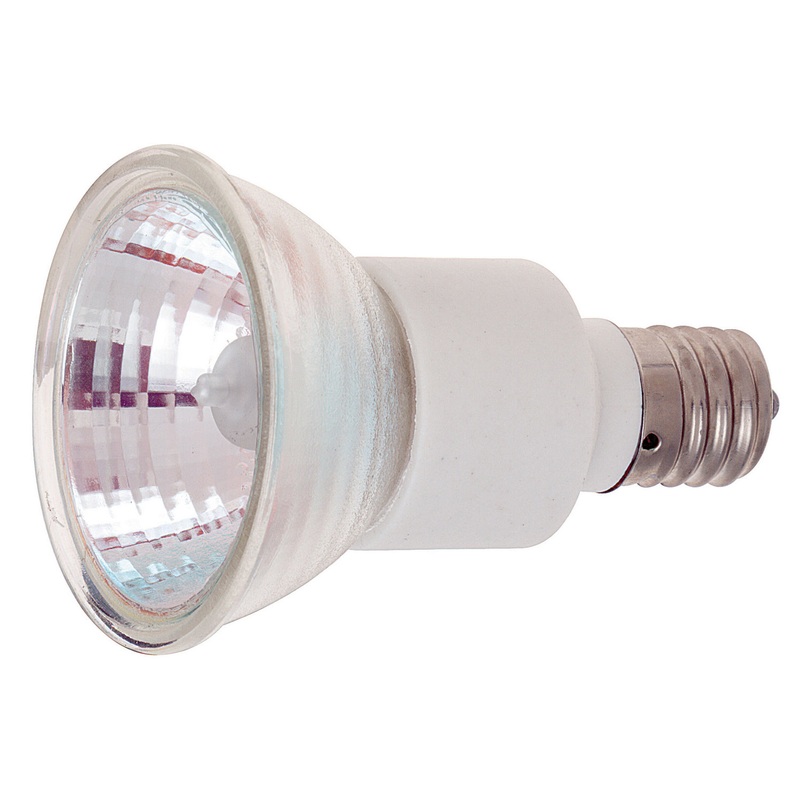 Light Bulb in None