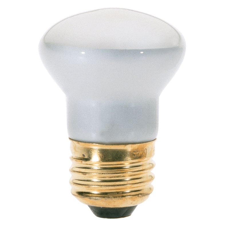 Light Bulb in Translucent