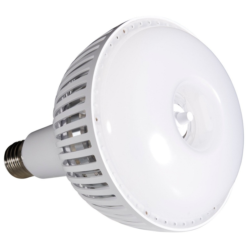 Light Bulb in Translucent White