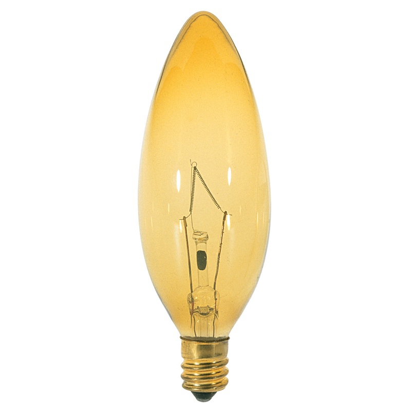 Light Bulb in Transparent Amber
