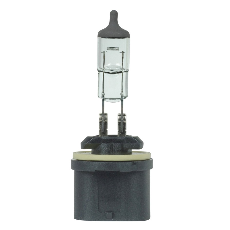 Light Bulb in Black Crown