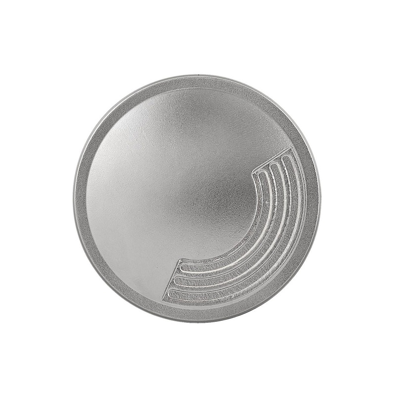 Flare LED Well Light in Stainless Steel