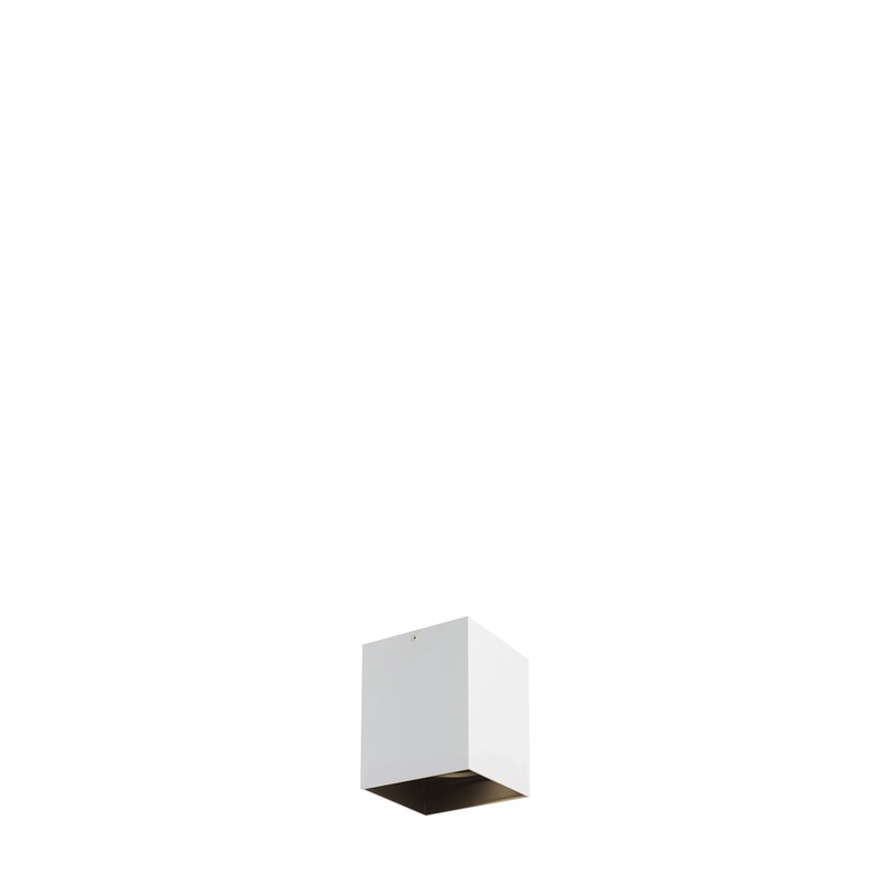 Exo 6 Flush Mount in Black with Matte White